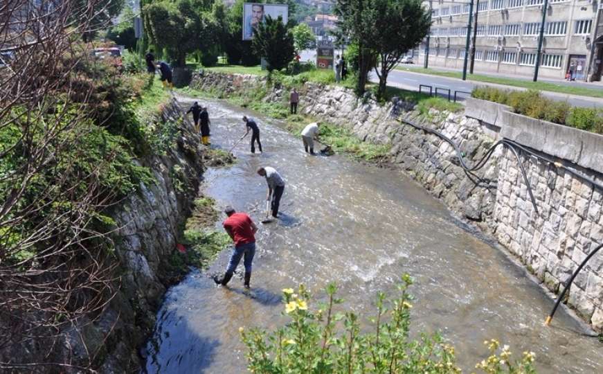 Okončana ekološka akcija čišćenja otvorenog dijela Koševskog potoka